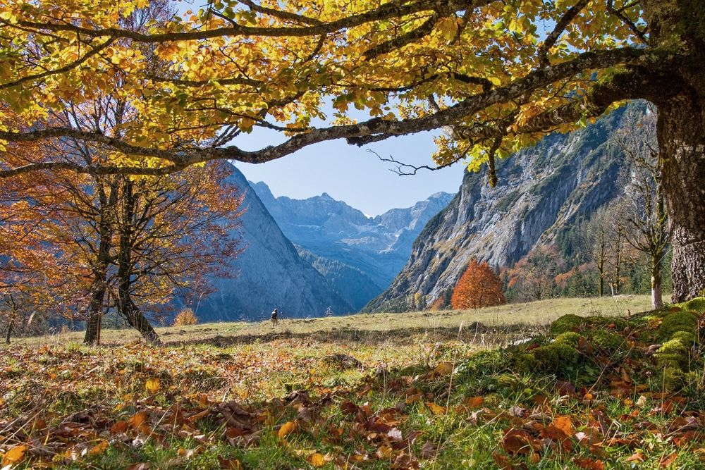 Nature as a model. Every single leaf serves as nutrient again.